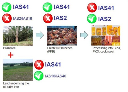 application-ias41-agriculture