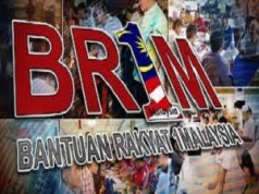 Budget 2014: BR1M RM650 for Households and RM300 for Singles Budget 2014 BR1M RM650 for Households and RM300 for Singles