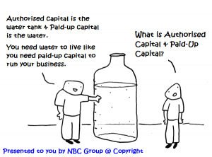 Authorised capital & Paid up capital by NBC Group